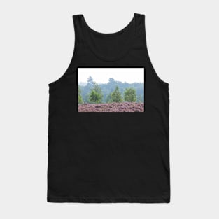 Heathland, morning mist, heather bloom, Niederhaverbeck Tank Top